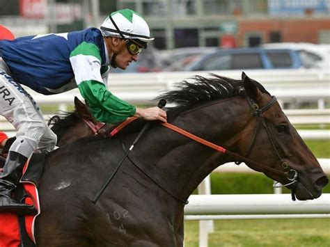 dwyer bet.